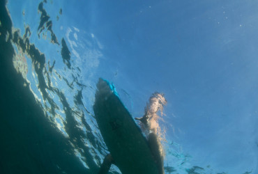 The Girl Who Rules the Sea